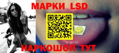a pvp Новозыбков