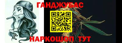 a pvp Новозыбков