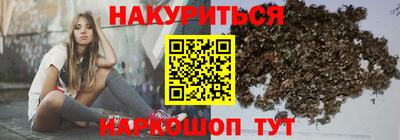a pvp Новозыбков