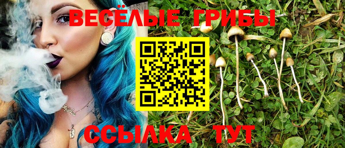 Галлюциногенные грибы прущие грибы  Галлюциногенные грибы прущие грибы  Вход с VPN  Рязань 
