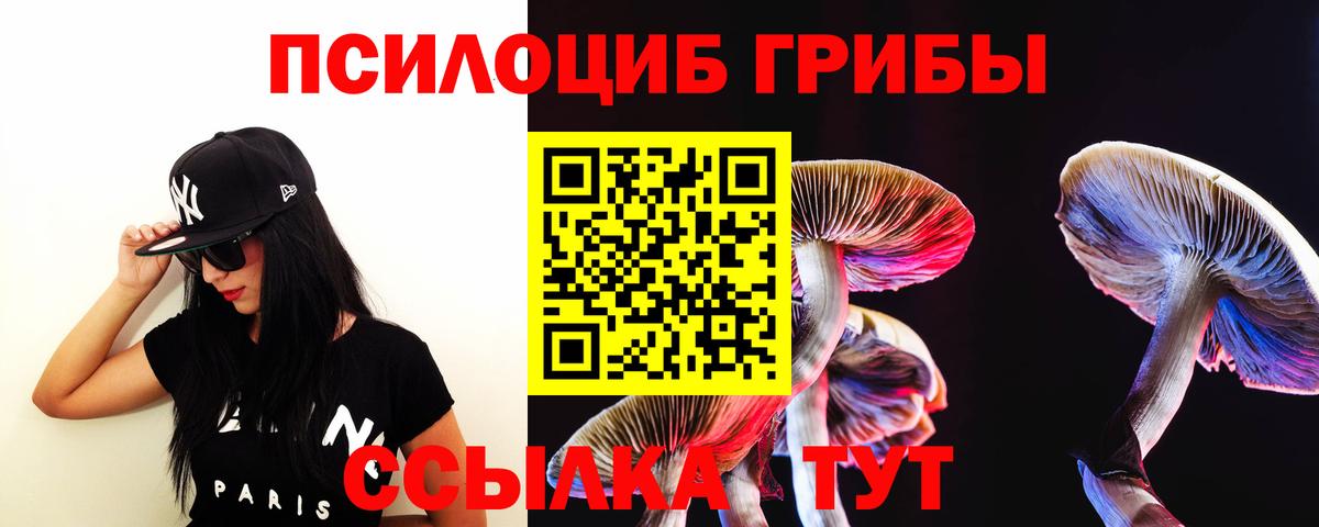 Галлюциногенные грибы Psilocybe Рязань